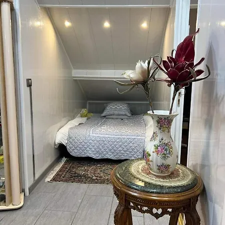 T Luxe Apartment *